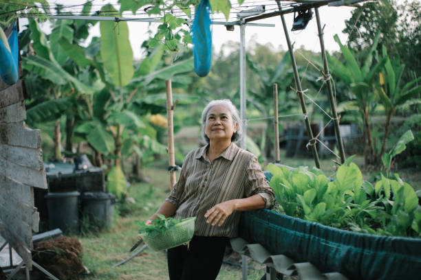 istock retired woman in her garden 2017304233