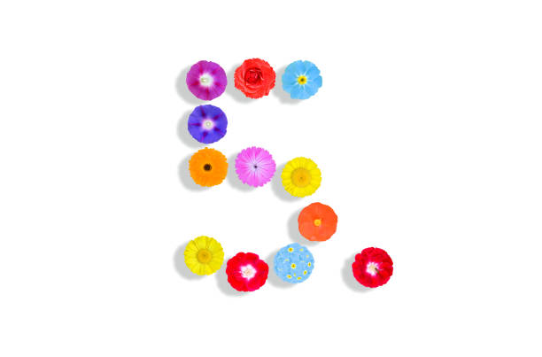 number  written on white background with colorful flowers, Graphic, Illustration