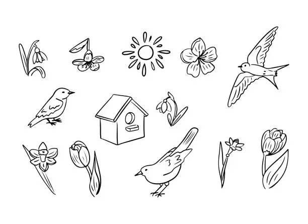 Vector illustration of Outline hand drawn doodle set of birds and flowers