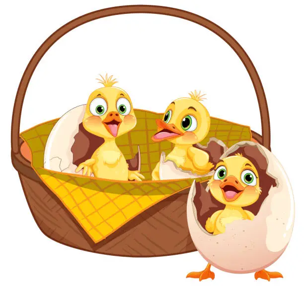 Vector illustration of Three cartoon ducklings in a picnic basket