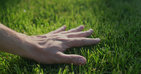 Hand strokes evenly cut grass on the lawn.