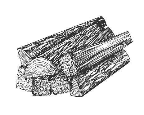 Pile of pine firewood isolated on a white background. Black and white hand drawn firewood. Fireplace log. Sketch style vector illustration