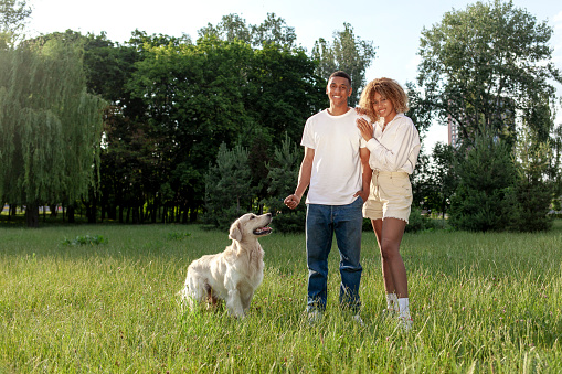 young african american couple with dog stand in park on green grass and smile, curly woman and young man walk with golden retriever, young happy family with pet in nature