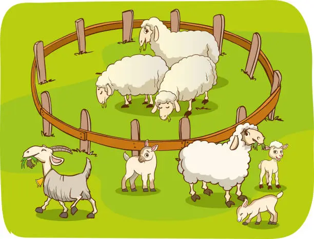 Vector illustration of A herd of sheep graze on a green meadow near the fence.