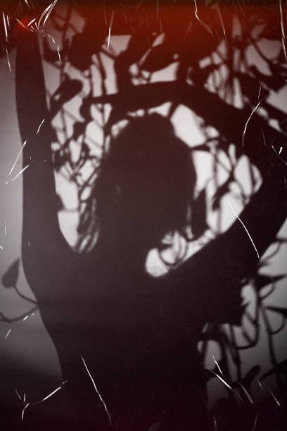 istock Shadow of a woman figure 2017495552