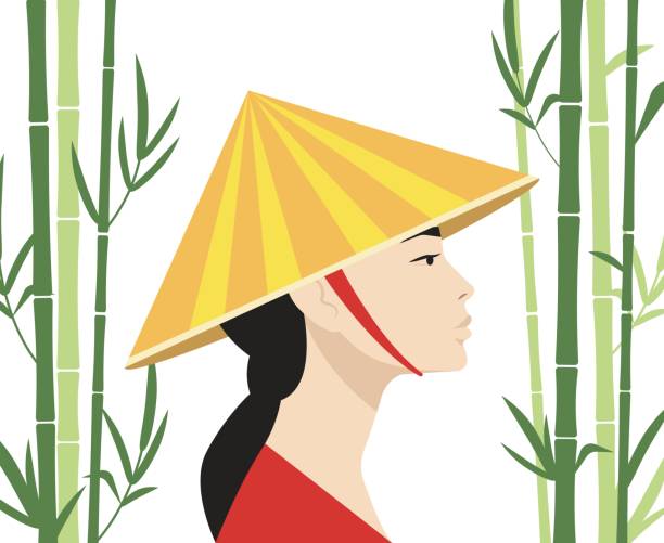 Asian girl wearing hat in bamboo forest Asian woman profile portrait. Wearing traditional style hat. Green bamboo plants grove on the background. Isolated. Asian travel destinations and tourism design. modern geisha stock illustrations