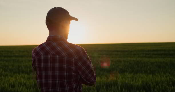 Young successful farmer looking at the wheat field at sunset, view from the back Young successful farmer looking at the wheat field at sunset, view from the back. Farmer stock pictures, royalty-free photos & images