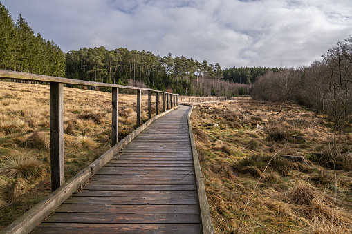 Landscape close to Dahlem, Eifel, North Rhine Westphalia, Germany