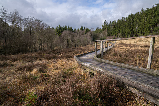 Landscape close to Dahlem, Eifel, North Rhine Westphalia, Germany