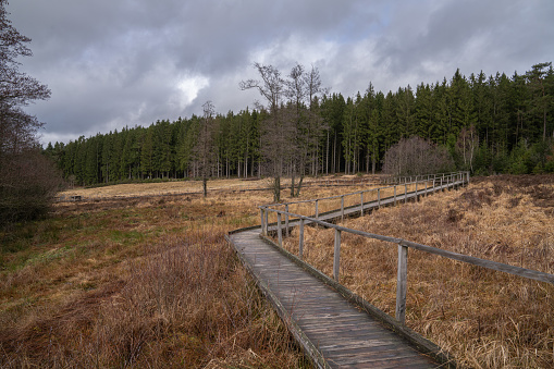 Landscape close to Dahlem, Eifel, North Rhine Westphalia, Germany