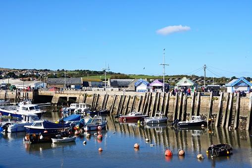 View of traditional fishing boats moored in the harbour at low tide with the town and countryside to the rear, West Bay, Dorset, UK, Europe.