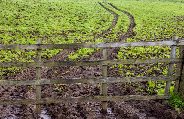 Wooden gate in a muddy agricultural field