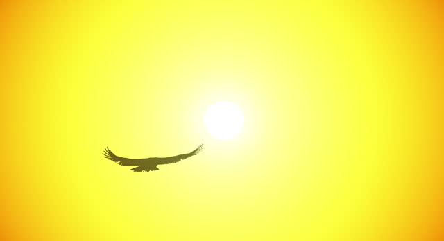 Bird gliding in sky