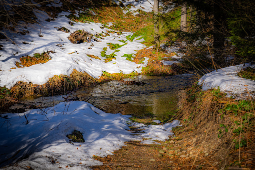 Stream in forest in Beskid Mountains in early Spring near village Szczawnik, Poland