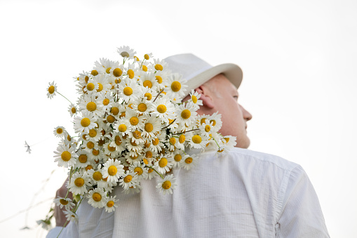 mature man holds a large bouquet of daisies on his shoulder, Rear view. White background