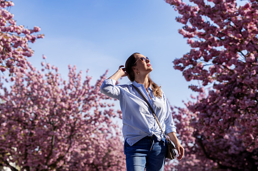 middle-aged woman in a blue shirt and jeans looks at pink cherry blossoms. blue sky background