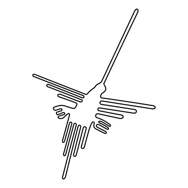 illustrations, cliparts, dessins animés et icônes de motif de colibri, lignes de nazca dans le désert du sud du pérou - zoomorphic