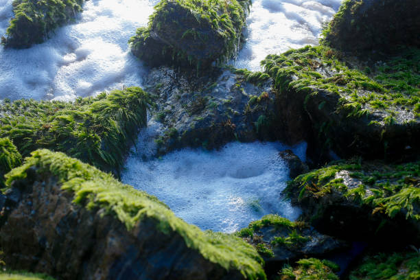stone boulders on the coast in sunny weather of the indian Ocean.