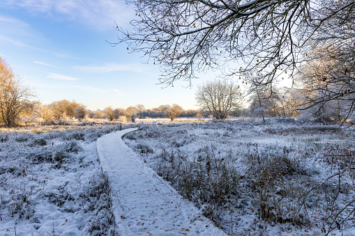 Snow and frost at Oughton Head Nature Reserve in Hitchin