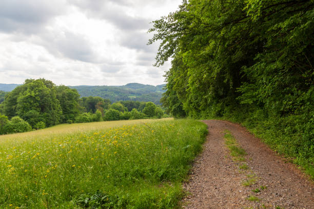 Rural scene with hill panorama, fields, forest with trees and footpath near Obertrubach in Franconian Switzerland, Germany