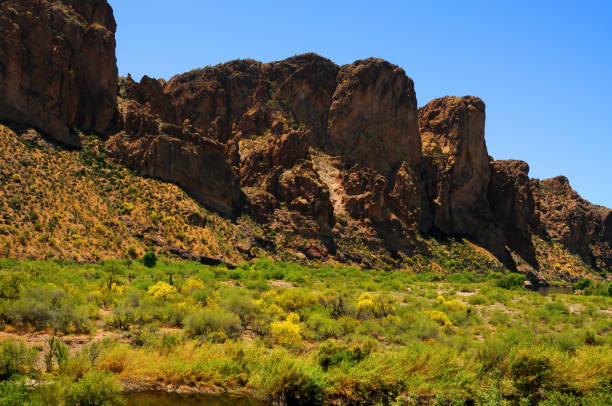 istock Salt River Recreation Area Arizona 2017724350