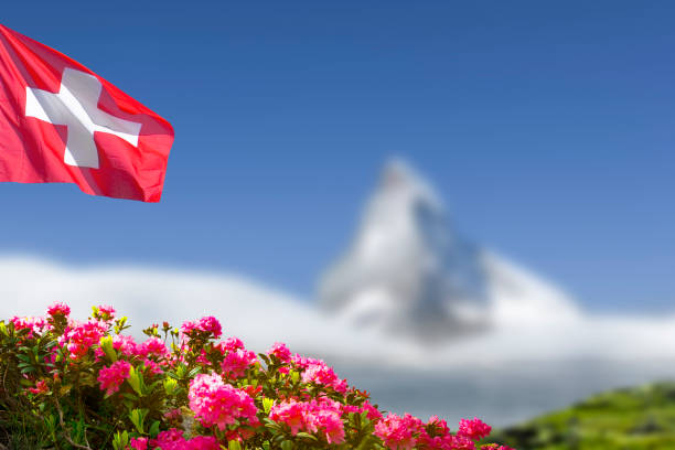 Swiss flag with alpine roses and Matterhorn