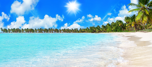 Tropical island paradise sea beach, turquoise water, ocean wave, coconut palm trees, sand, sun sky cloud, beautiful nature panorama landscape, Caribbean, Maldives, Thailand, summer holidays, vacation
