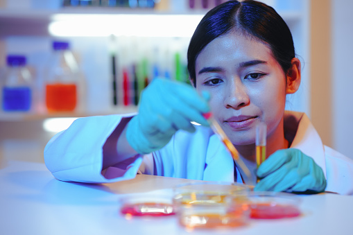 Asian female scientist passionately conducts experiments in a laboratory, surrounded by petri dishes and beakers. Delve into the chemistry of gasoline, food ingredients, and perfumes