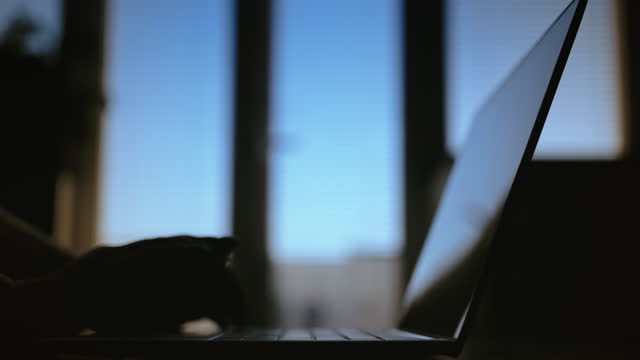 Late Hours Office: Close-Up of Woman Typing on Laptop