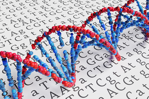 Red helix of strands of nucleotides connected by blue hydrogen bonds on a paper filled with the four types of genetic bases. Illustration of the concept of genetic engineering and gene therapy