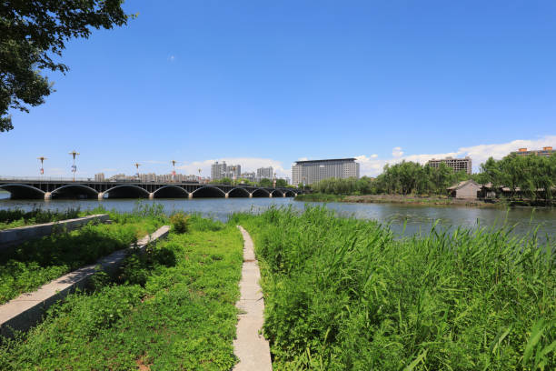 istock Waterfront City architectural scenery, North China 2017826756