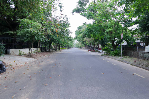 istock road with lots of trees on the right and left 2017828380