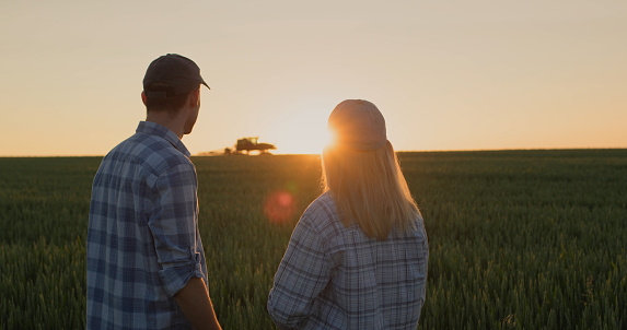 A young couple of farmers watch how a tractor works in the field. Stand side by side against the backdrop of a field of wheat where the sun is setting.