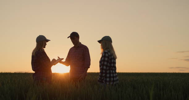 istock A group of farmers work in the field at sunset, use a tablet, discuss 2017845389