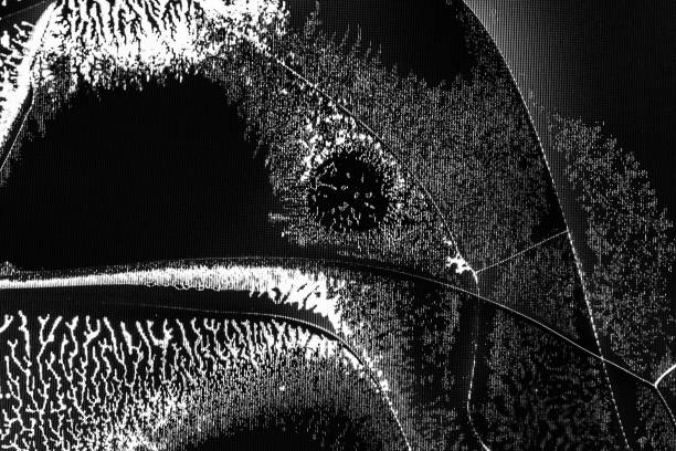 fissures d’arrière-plan de texture sur l’écran cassé d’un écran à cristaux liquides, d’un écran d’ordinateur ou d’une photo noir et blanc de télévision - computer monitor computer liquid crystal display visual screen photos et images de collection