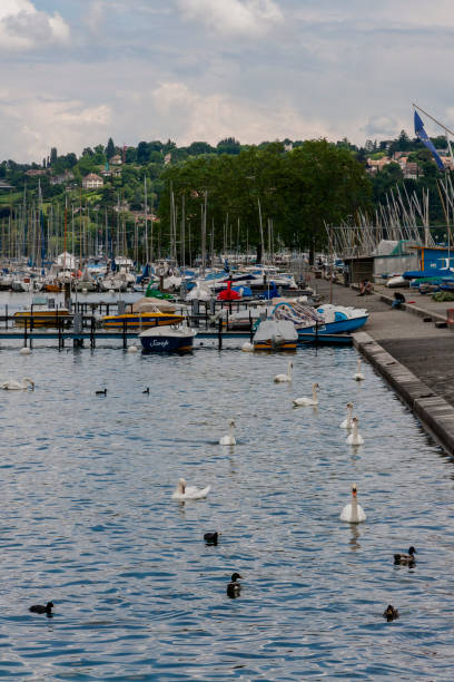 istock Lake Geneva, Geneva ,Switzerland 2017864288
