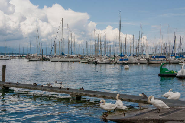 Lake Geneva, Geneva ,Switzerland