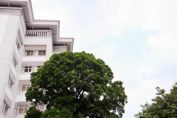 facade of a university building in Indonesia