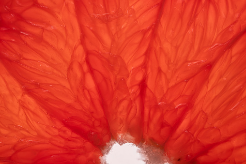 Macro photography of a grapefruit slice on white illuminated background. Grapefruit pulp detail