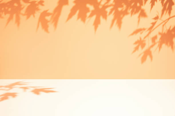 Mock up 3d room scene with natural maple leaves shadows overlay Abstract minimal empty orange white 3d room background. Modern Studio showcase. Mock up scene with natural plants, maple tree leaves shadows, dappled light overlay effect. Front view, copy space peach color table stock pictures, royalty-free photos & images