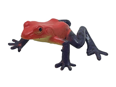 A red frog toy with a yellow belly and blue paws. Toy toad on white backgroun