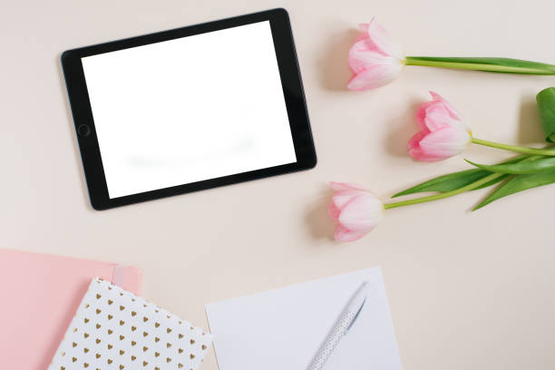 Spring background flat lay of pink tulips with tablet mockup, copy space for text. Mother's Day or Valentine's Day