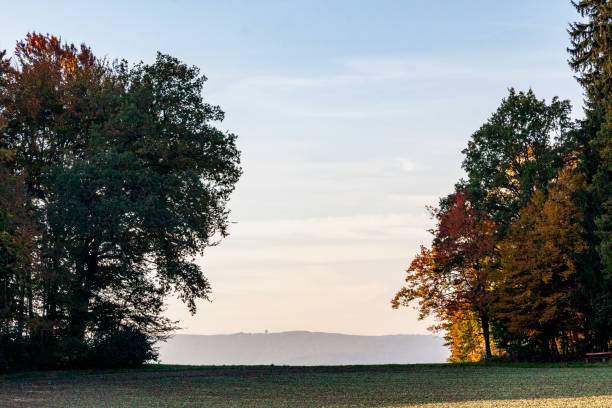 Autumn Leaves in Zurich, Switzerland