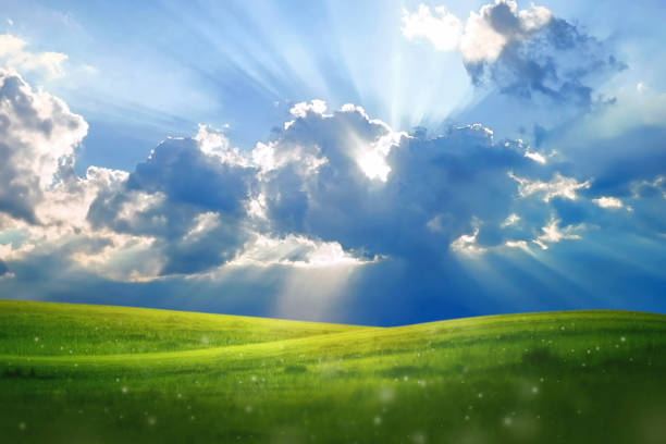 empty lawn hill and sunrise summer nature background