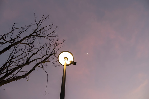 Street lamp under pink sky