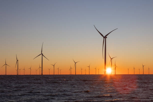 istock Off shore wind turbines or high, tall wind mills at sea during sunrise 2017929967