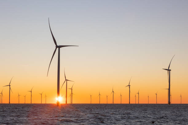 istock Off shore wind turbines or high, tall wind mills at sea during sunrise 2017930472