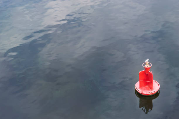 istock Red buoy floating on calm water 2017949638