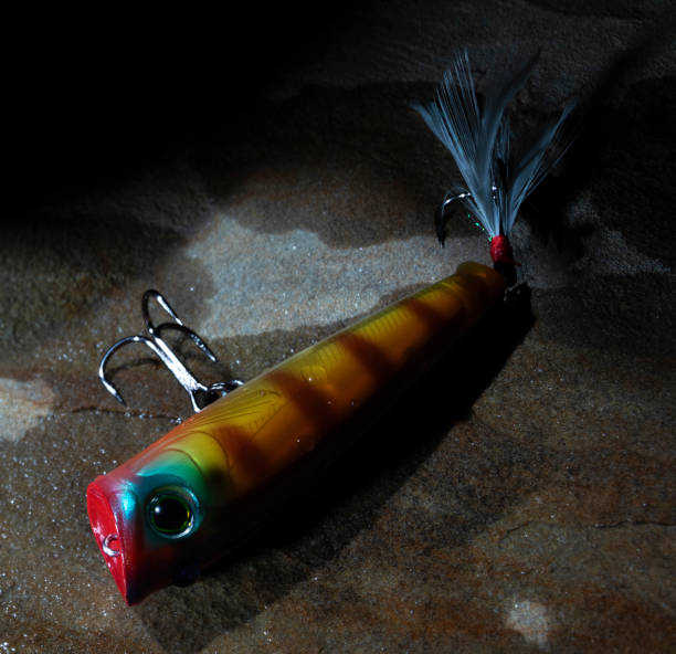 plug lure with a large blade for deep sea fishing