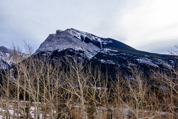 istock A driving tour through, MD of Big Horn, Alberta, Canada 2017952772
